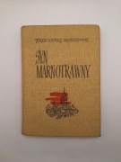 Książka Syn Marnotrawny Józef Ignacy Kraszewski