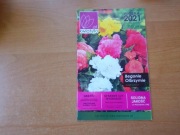 Katalog kwiatów roślin sadzonek Kwiatyllo.pl Wiosna 2021 piękny ogród