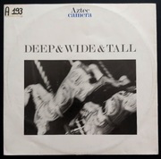 Deep & Wide & Tall Aztec Camera