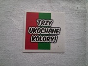 Vlepki Zagłębie Sosnowiec #1