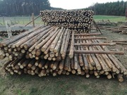 Stemple budowlane drewniane nowe