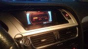 Polskie Menu Audi Concert Symphony A4 A5 Q5 Mielec