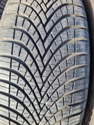 195/65R15 Dębica Navigator 3