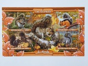 (1698) blok wiewiórki