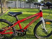 Rower Author Energy r.20