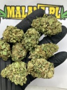 Jasny Lekki Świeży Susz CBD White Whidow 1kg | CBD PREMIUM (zdjęcia) 1000g