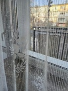 Delikatna zakardowa firanka  z delikatnymi wzorami  250/ 495 cm