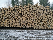 Drewno Tartaczne świerk, kłoda, dłużyca, paletówka