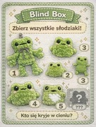 Mystery box z pluszową żabką