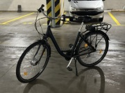 Rower E-Prophete Geniesser e6000