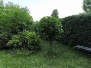 Odstąpię prawo do ROD Słomin