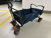 Pinolino paxi dlx comfort wózek plażowy ogrodowy transportowy 70 kg