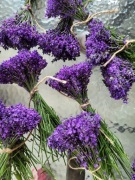 100% ekologiczna lawenda- suszony bukiecik