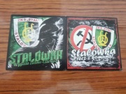 Vlepki Stal Stalowa Wola #6