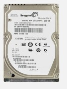 Dysk twardy Seagate ST9250410AS 250GB SATA 2,5"