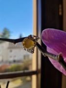 BURSZTYN BAŁTYCKI  PIERŚCIEŃ MOSIADZ SREBRZONY 