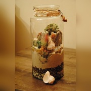 Las w słoiku, pustynia w słoiku, florarium