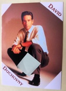 David Duchowny-Aktor. Pocztówka z lat 1980tych. Czysta,