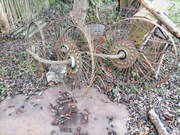 Przewracarka czterogwiazdowa