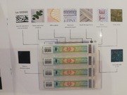 WZORY PWPW: Banderole i Etykiety - st. UNC