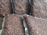 Rzepik gotowy/gotowany 