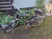 Miejski męski rower Gazelle Chamonix