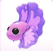Pink Betta Fish - Adopt Me Roblox