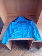 Bluza z pumy