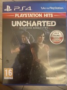 Gra Uncharted Zaginione Dziedzictwo PS4