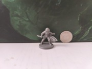 Elfka Bandyta -  RPG D&D figurka Wildspire Miniatures 