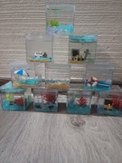 Małe akwaria dekoracyjne