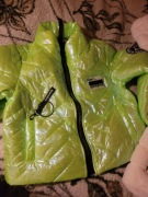 Kurteczka przejściowa neon