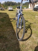 Rower gazelle 