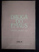 Droga do Emaus cykl B- Amédée Brunot 