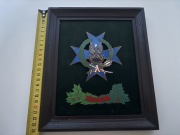 Ryngraf - Logistyka Wojsk Lądowych