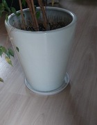 Doniczka ceramika biały Polnix 38 cm x 38 x 42 cm