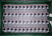 Wyłącznik silnikowy ABB MS116 10A-16A