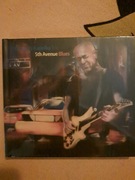 GRZEGORZ KAPOLKA TRIO - 5TH AVENUE BLUES CD MINT janis joplin hendrix