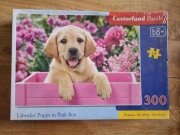 PUZZLE * labrador * 300 elementów * NOWE *CASTORLAND