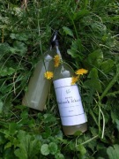 Żywy ocet z mniszka lekarskiego 