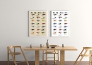 Plakat A3 Krewetki Neocardina - biały