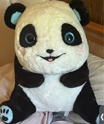 Duży pluszak panda