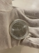 Srebrne monety bulionowe Australijski Kangur 2020 - 1oz x 25 