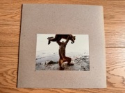 SHELLAC Dude Incredible [STEVE ALBINI Touch and Go] 1PRESS