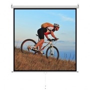 Ekran ręczny półautomat 1:1 96'' 244x244cm MS