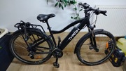 Rower elektryczny Funbike Thron
