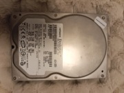 HDD 3,5 " Dysk twardy da Amigi 600/1200/4000