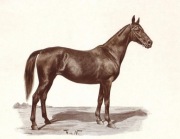 Konie III   reprint XIX w. grafik