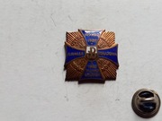 Odznaka AK Okręg Wilno Wiano - Nowogródek Nów