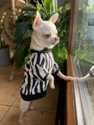 Ubranko w kwiaty dla psa - rozmiar S 